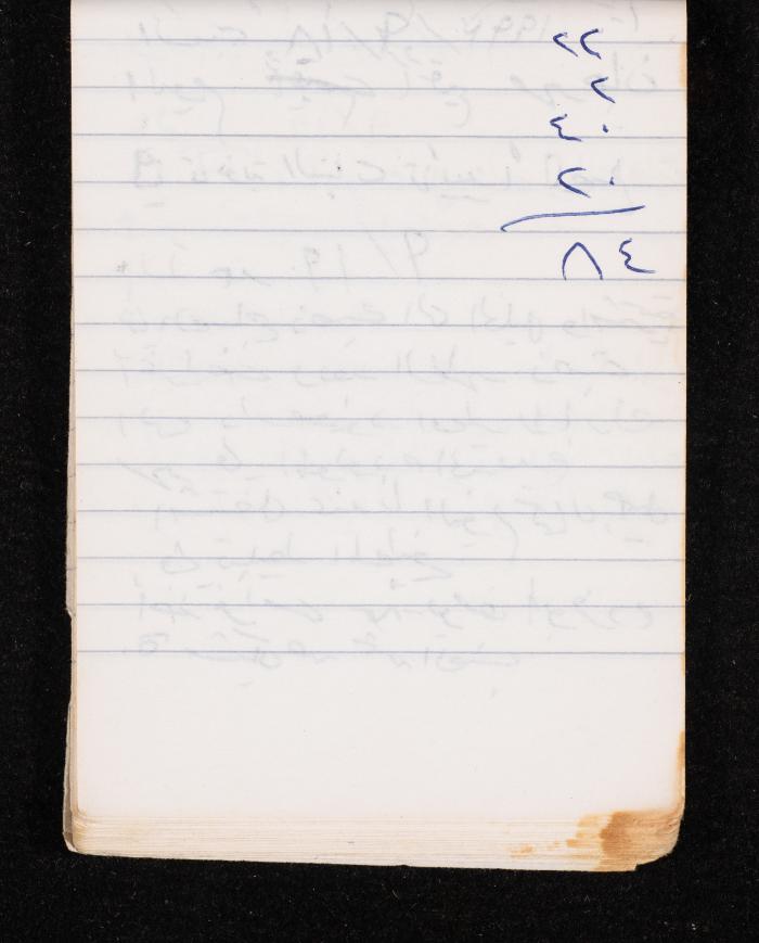 The Diary of Fadeyyeh Darabe, Dura- Hebron, 1993