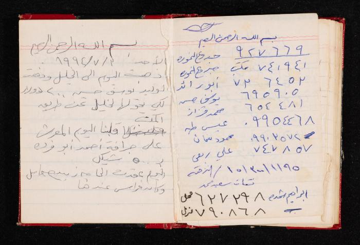 The Diary of Fadeyyeh Darabe, Dura- Hebron, 1993