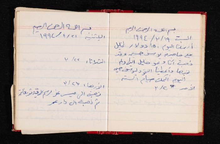 The Diary of Fadeyyeh Darabe, Dura- Hebron, 1993