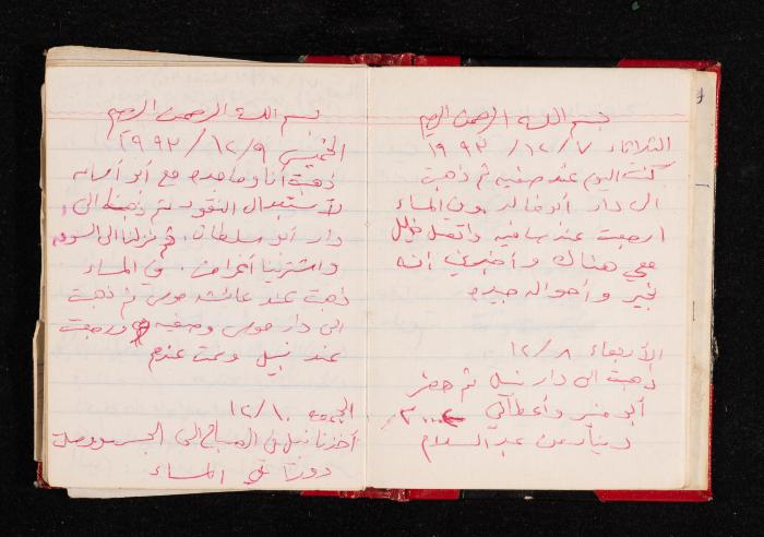 The Diary of Fadeyyeh Darabe, Dura- Hebron, 1993