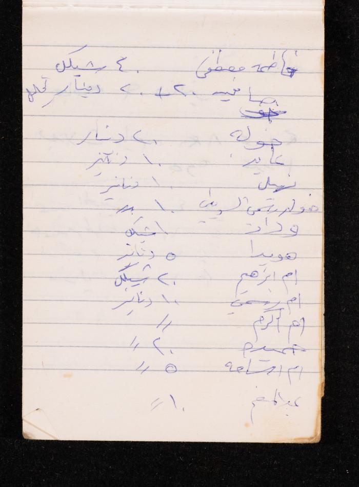 The Diary of Fadeyyeh Darabe, Dura- Hebron, 1993