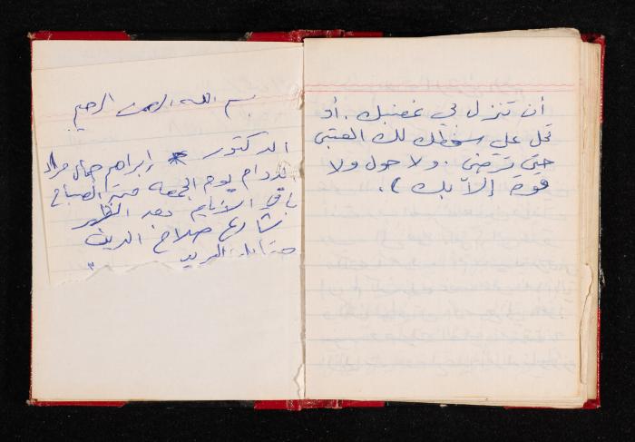 The Diary of Fadeyyeh Darabe, Dura- Hebron, 1993