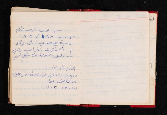 The Diary of Fadeyyeh Darabe, Dura- Hebron, 1993