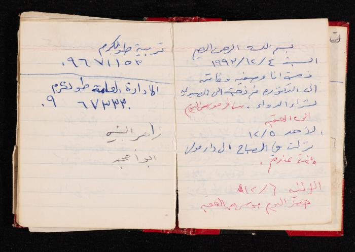 The Diary of Fadeyyeh Darabe, Dura- Hebron, 1993