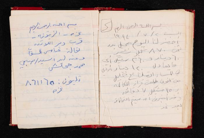 The Diary of Fadeyyeh Darabe, Dura- Hebron, 1993
