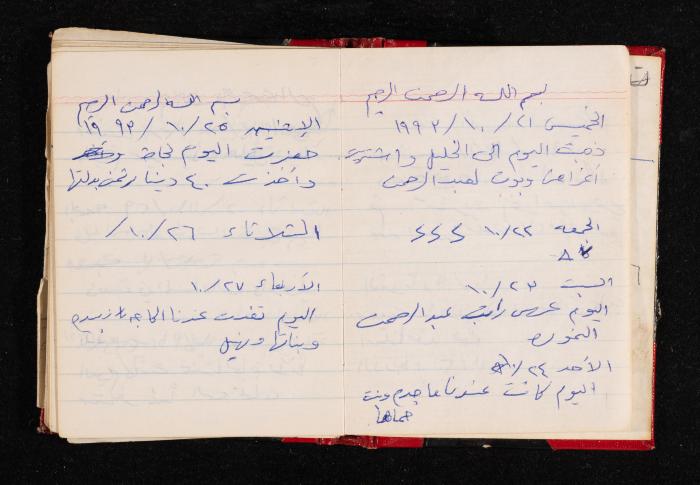 The Diary of Fadeyyeh Darabe, Dura- Hebron, 1993