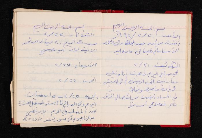 The Diary of Fadeyyeh Darabe, Dura- Hebron, 1993