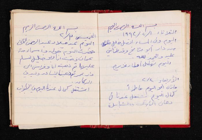 The Diary of Fadeyyeh Darabe, Dura- Hebron, 1993