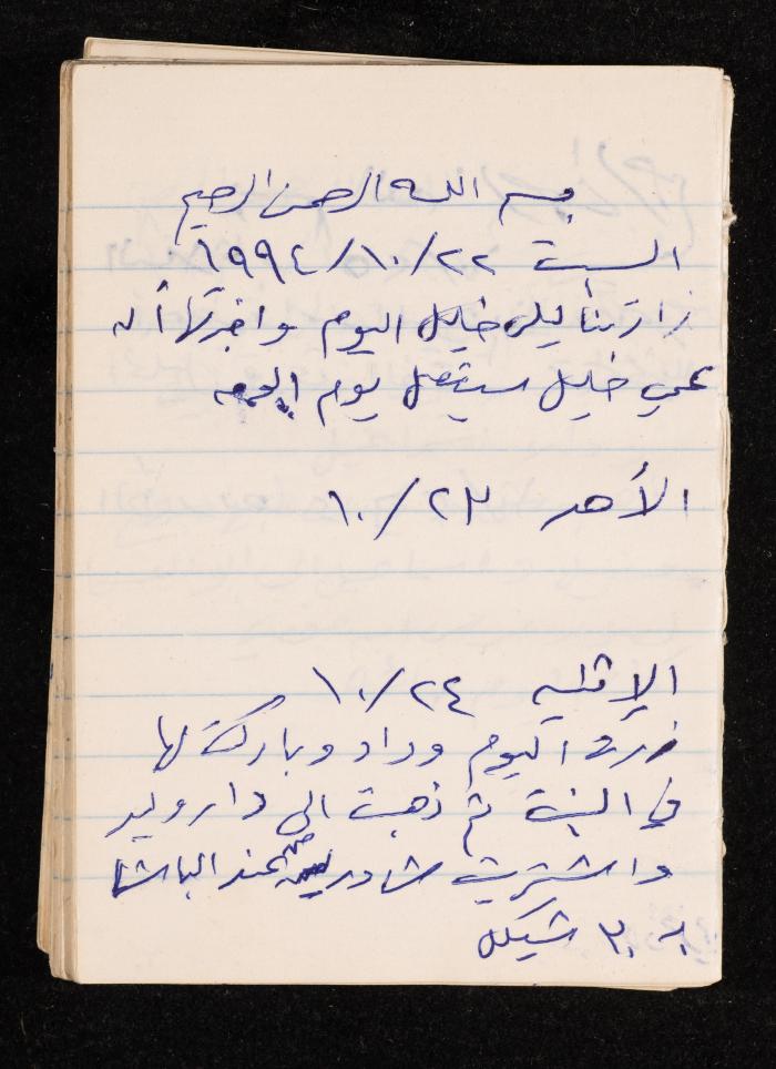 دفتر يوميات فضية الدرابيع، دورا- الخليل، 1994