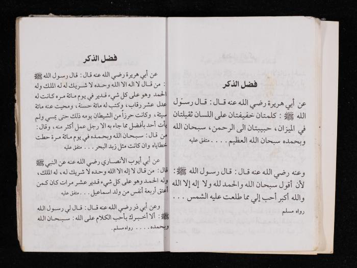 The Diary of Fadeyyeh Darabe, Dura- Hebron, 1995