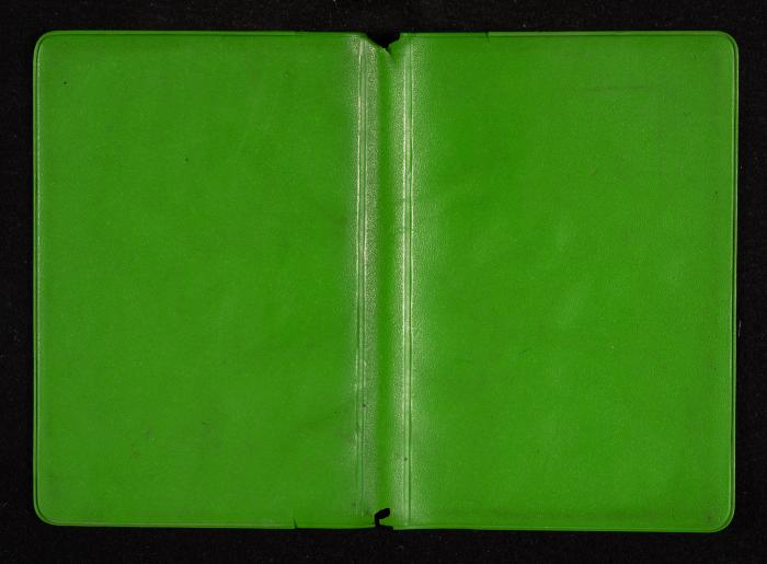 The Diary of Fadeyyeh Darabe, Dura- Hebron, 1995
