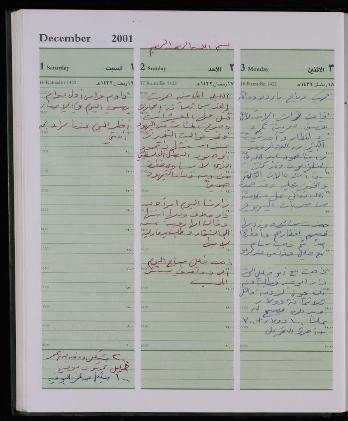 دفتر يوميات فضية الدرابيع، دورا- الخليل، 2001
