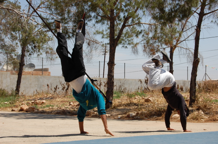 A Photograph from an Open Day Held by the PCS in Jenin, 2012

