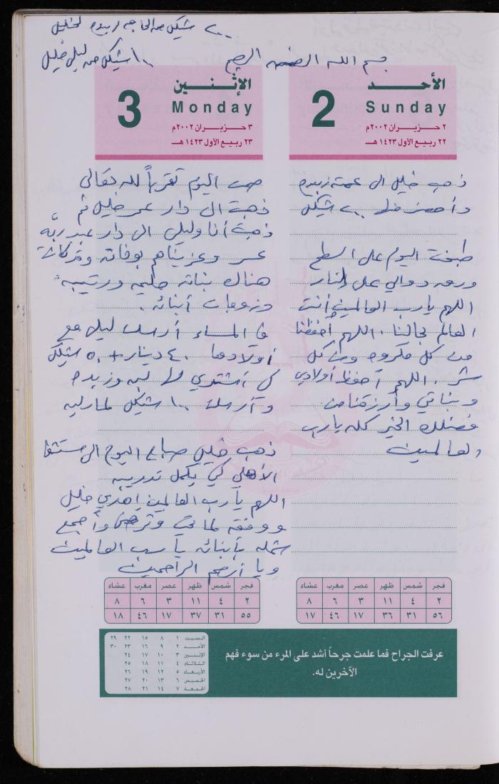 دفتر يوميات فضية الدرابيع، دورا- الخليل، 2002