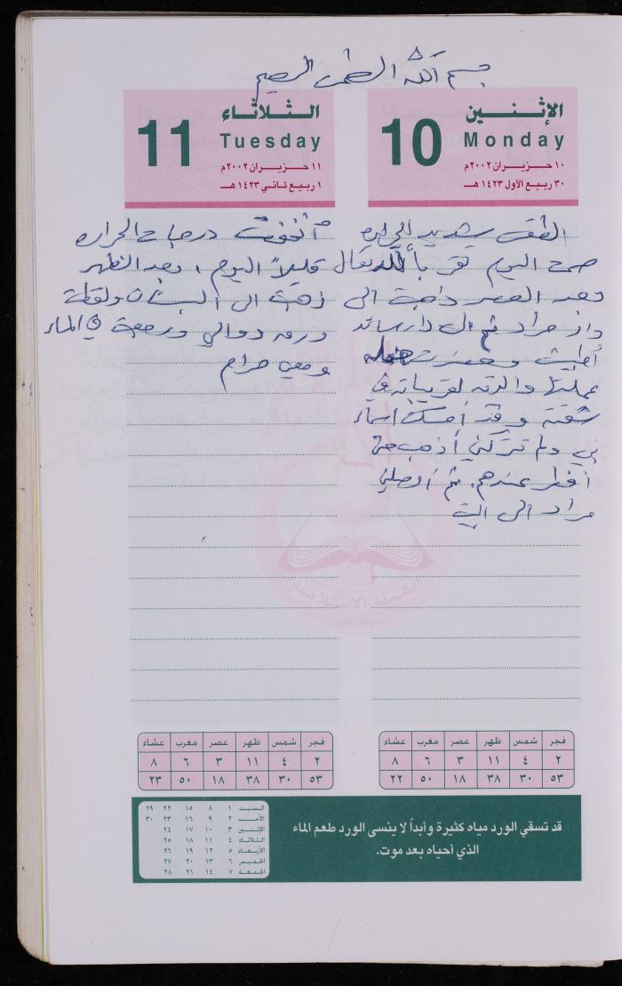 دفتر يوميات فضية الدرابيع، دورا- الخليل، 2002