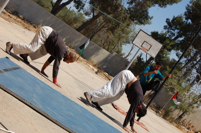 A Photograph from an Open Day Held by the PCS in Jenin, 2012
