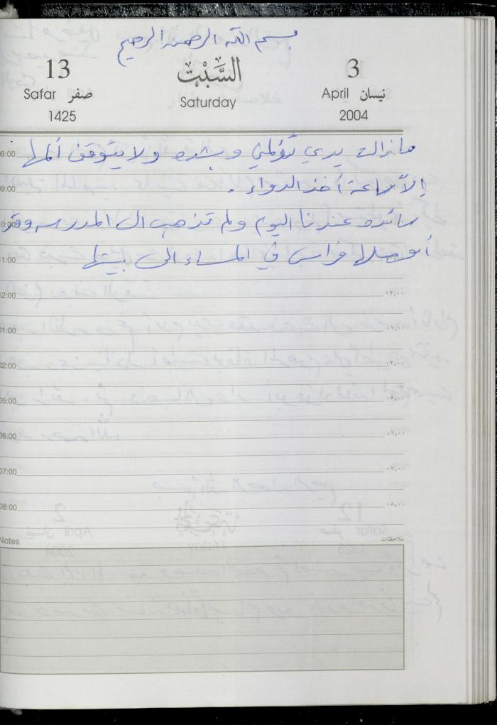 The Diary of Fadeyyeh Darabe, Dura- Hebron, 2004