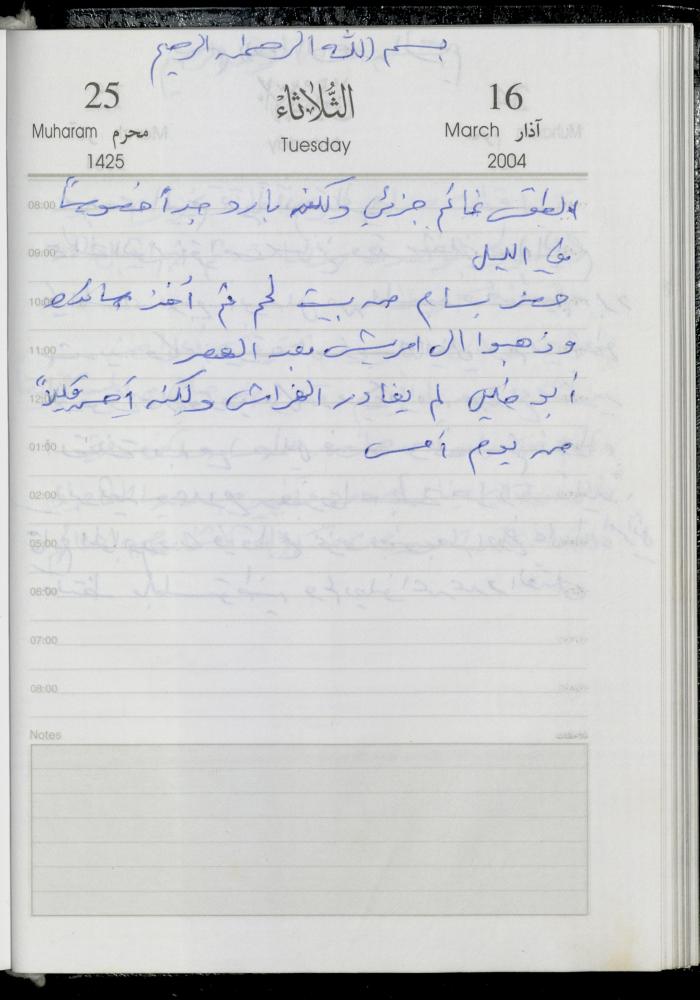 The Diary of Fadeyyeh Darabe, Dura- Hebron, 2004
