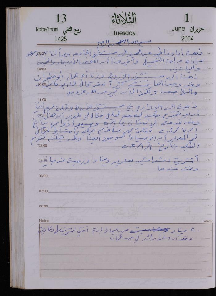 The Diary of Fadeyyeh Darabe, Dura- Hebron, 2004