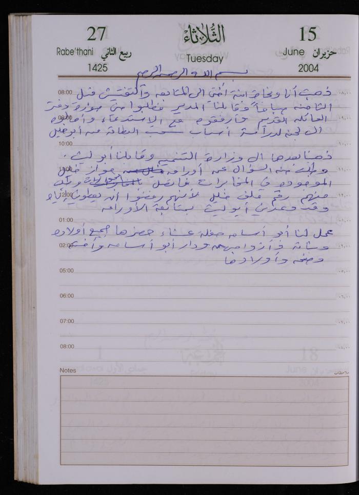 The Diary of Fadeyyeh Darabe, Dura- Hebron, 2004