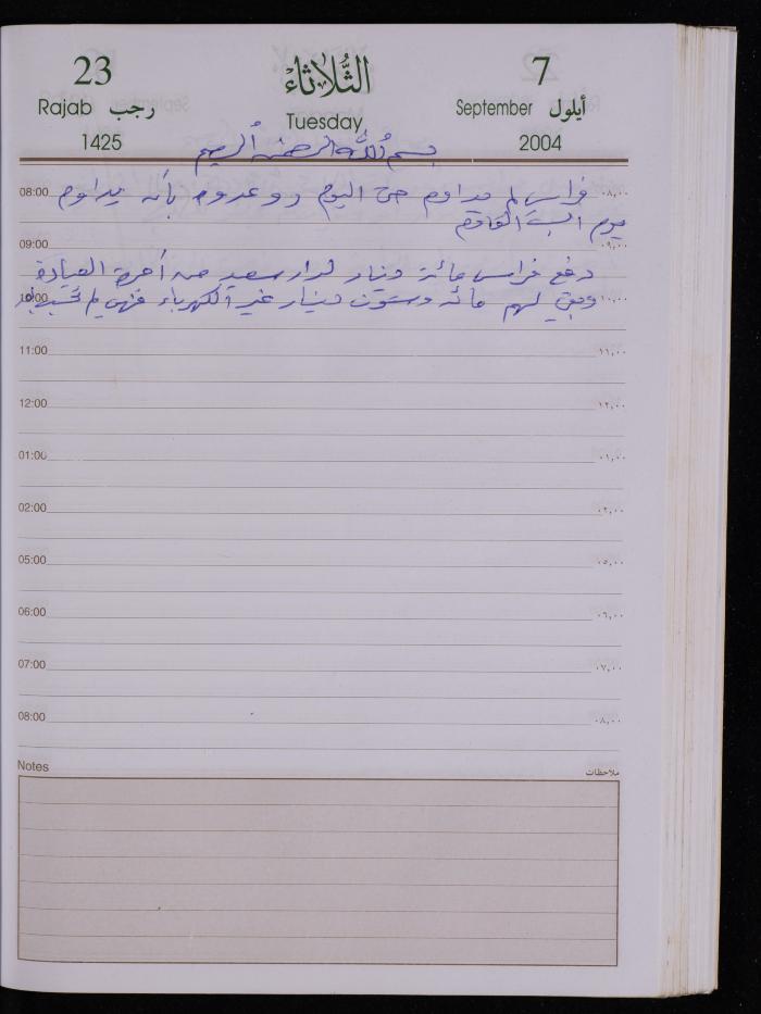 The Diary of Fadeyyeh Darabe, Dura- Hebron, 2004