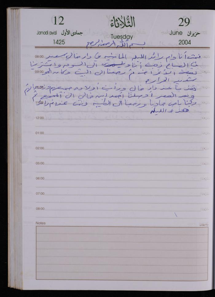 The Diary of Fadeyyeh Darabe, Dura- Hebron, 2004