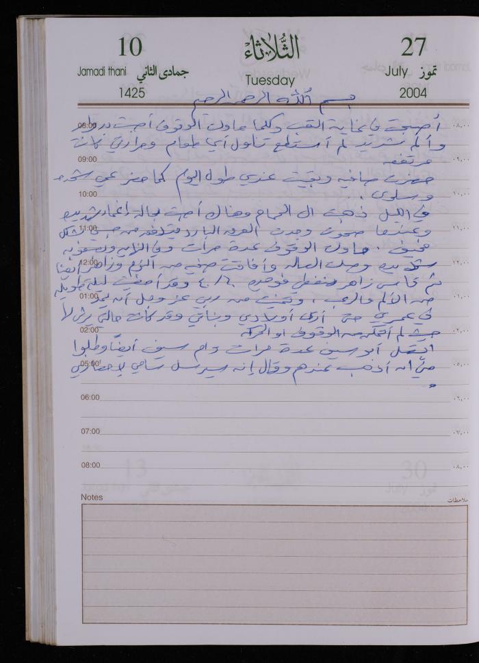 The Diary of Fadeyyeh Darabe, Dura- Hebron, 2004