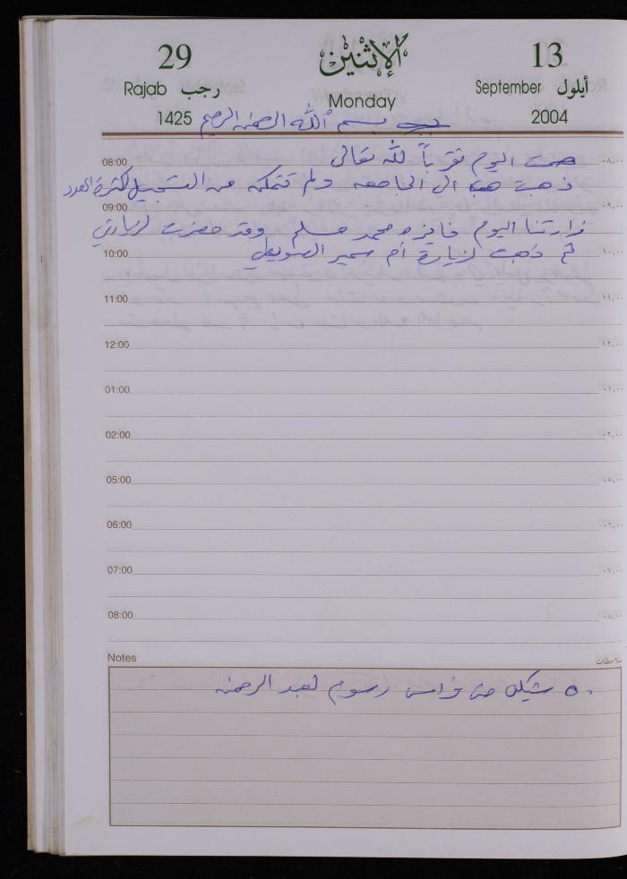 The Diary of Fadeyyeh Darabe, Dura- Hebron, 2004