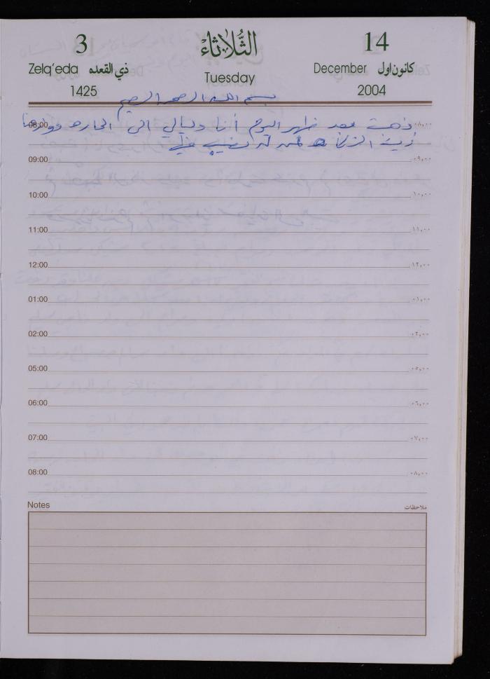 The Diary of Fadeyyeh Darabe, Dura- Hebron, 2004