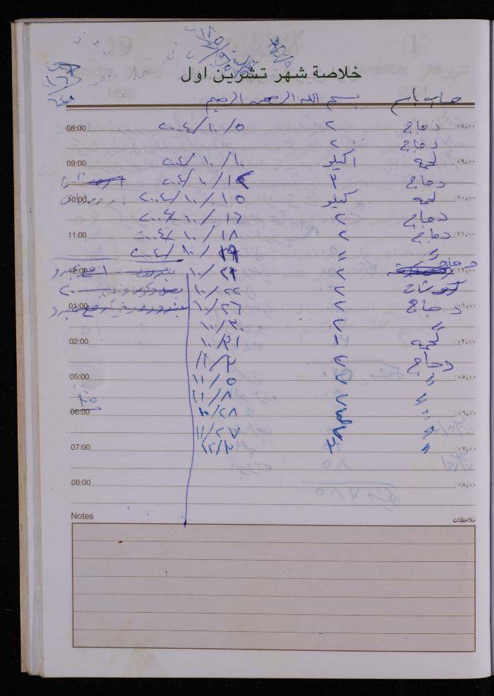 The Diary of Fadeyyeh Darabe, Dura- Hebron, 2004