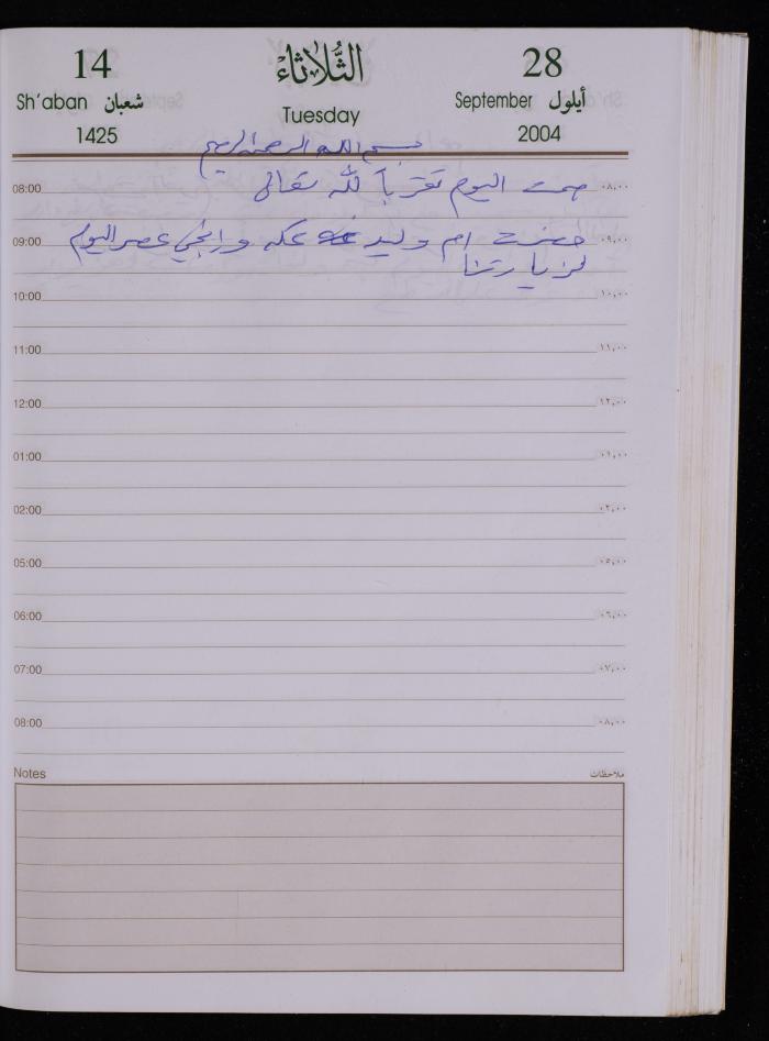 The Diary of Fadeyyeh Darabe, Dura- Hebron, 2004