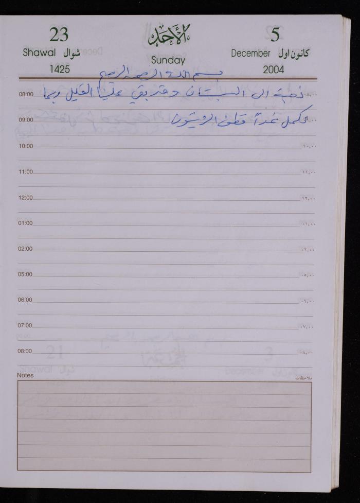 The Diary of Fadeyyeh Darabe, Dura- Hebron, 2004