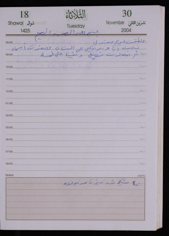 The Diary of Fadeyyeh Darabe, Dura- Hebron, 2004