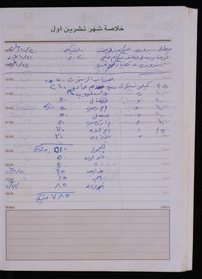 The Diary of Fadeyyeh Darabe, Dura- Hebron, 2004