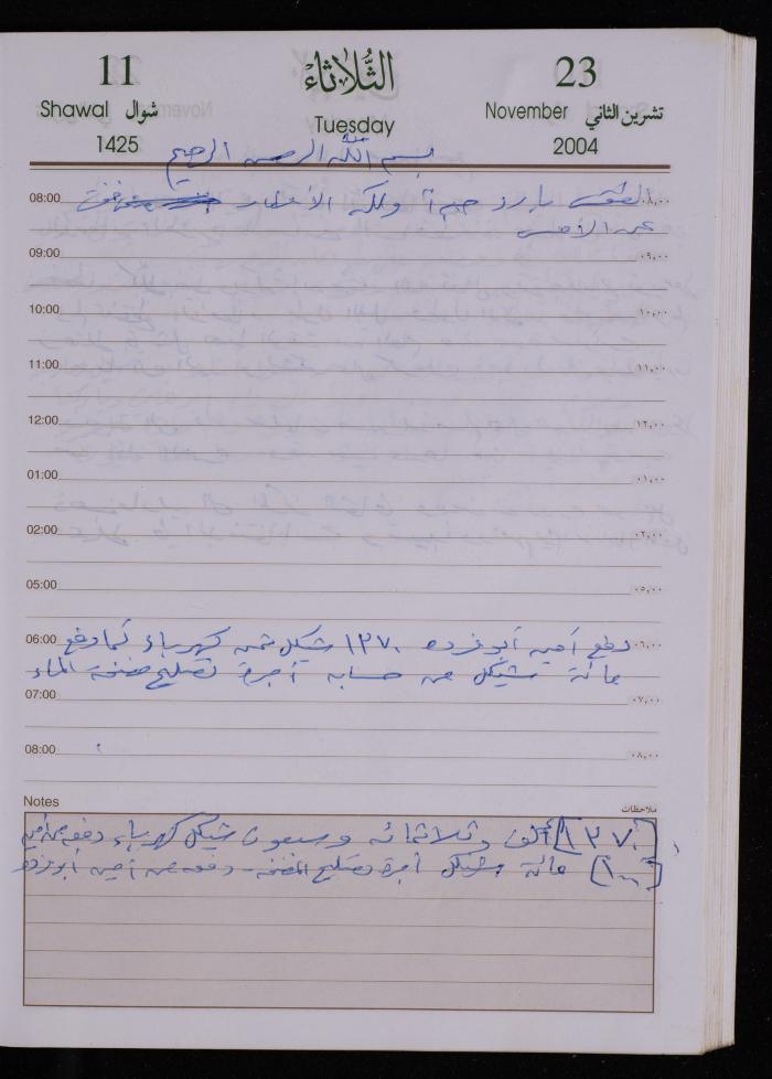 The Diary of Fadeyyeh Darabe, Dura- Hebron, 2004