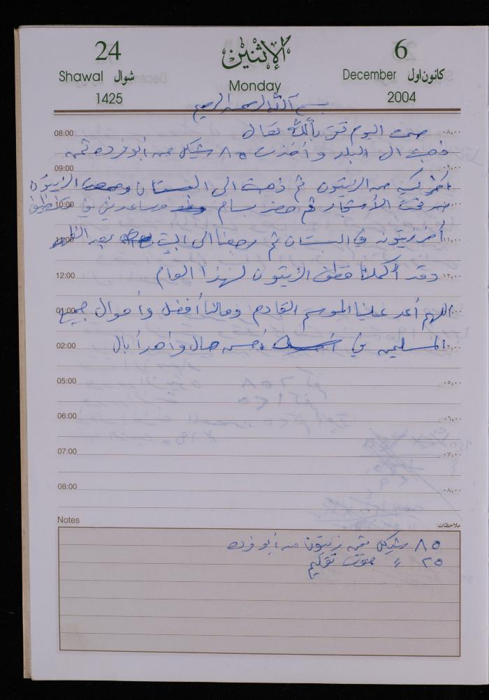 The Diary of Fadeyyeh Darabe, Dura- Hebron, 2004