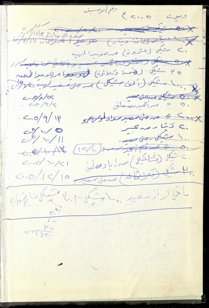 The Diary of Fadeyyeh Darabe, Dura- Hebron, 2005