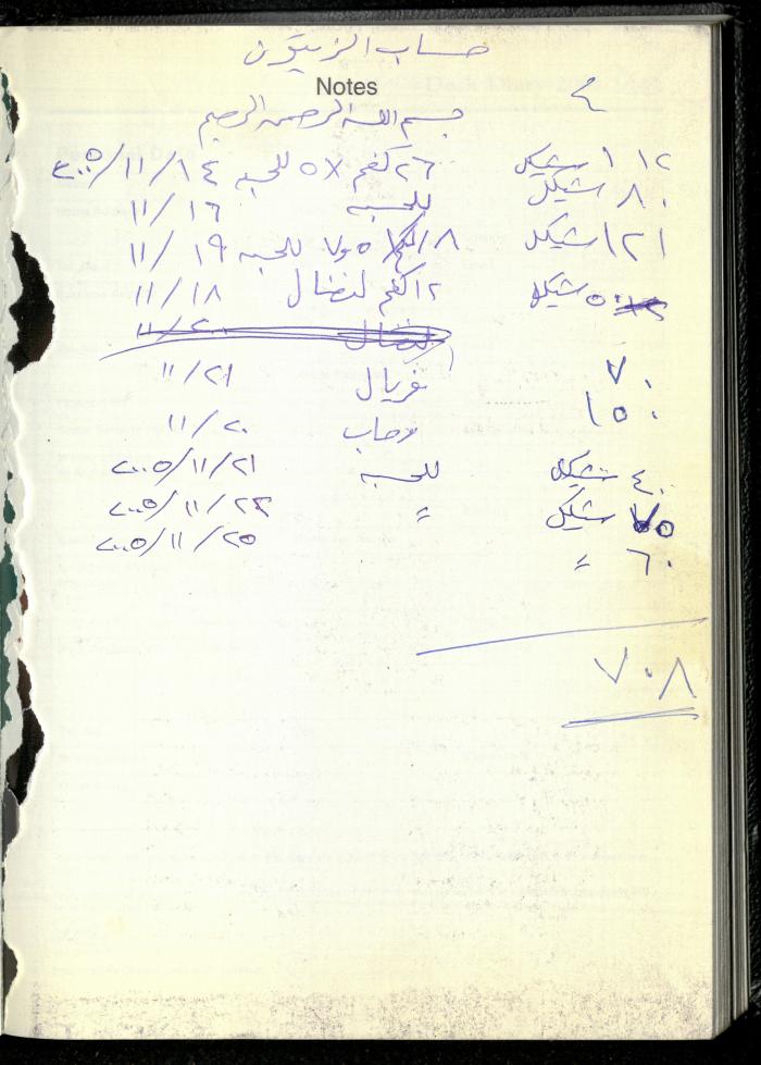 The Diary of Fadeyyeh Darabe, Dura- Hebron, 2005