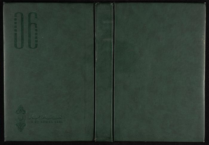 The Diary of Fadeyyeh Darabe, Dura- Hebron, 2006