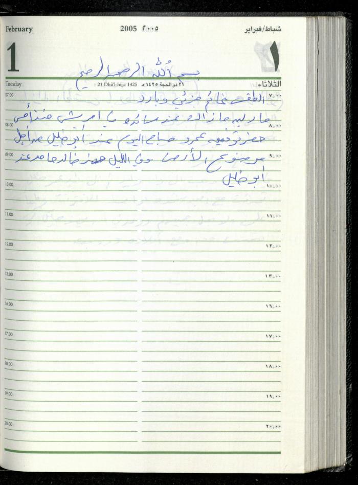 The Diary of Fadeyyeh Darabe, Dura- Hebron, 2005