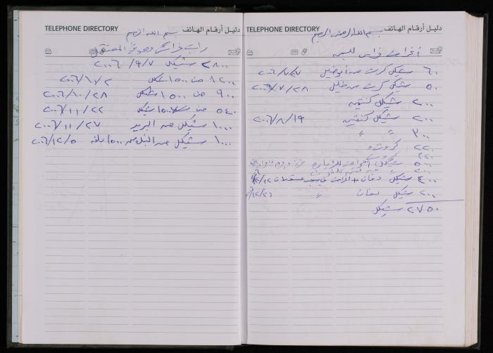 The Diary of Fadeyyeh Darabe, Dura- Hebron, 2006