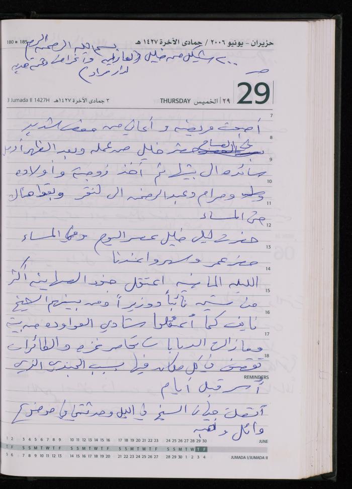 The Diary of Fadeyyeh Darabe, Dura- Hebron, 2006