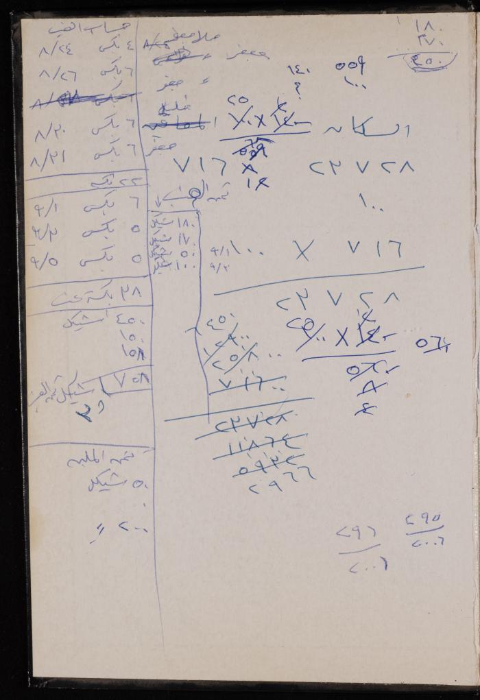The Diary of Fadeyyeh Darabe, Dura- Hebron, 2008