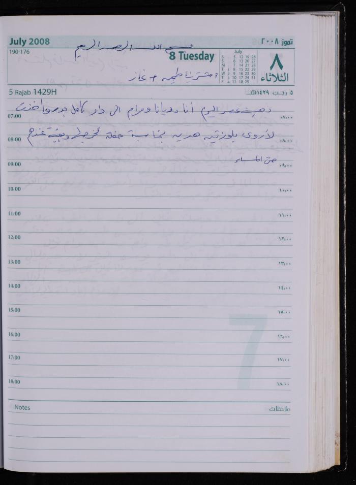 The Diary of Fadeyyeh Darabe, Dura- Hebron, 2008
