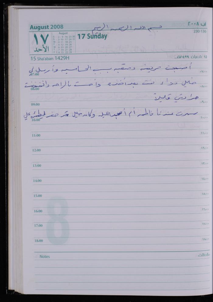 The Diary of Fadeyyeh Darabe, Dura- Hebron, 2008