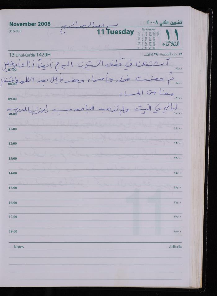 The Diary of Fadeyyeh Darabe, Dura- Hebron, 2008