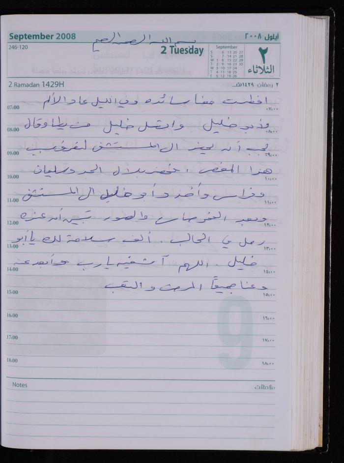 The Diary of Fadeyyeh Darabe, Dura- Hebron, 2008