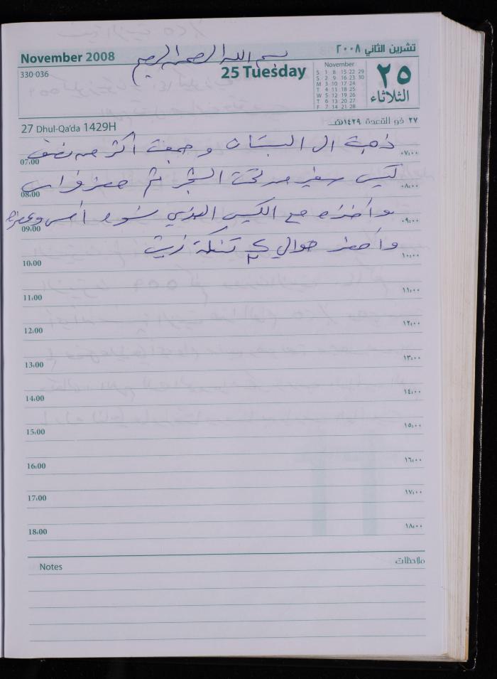 The Diary of Fadeyyeh Darabe, Dura- Hebron, 2008