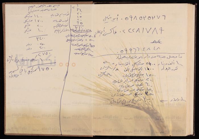 The Diary of Fadeyyeh Darabe, Dura- Hebron, 2010