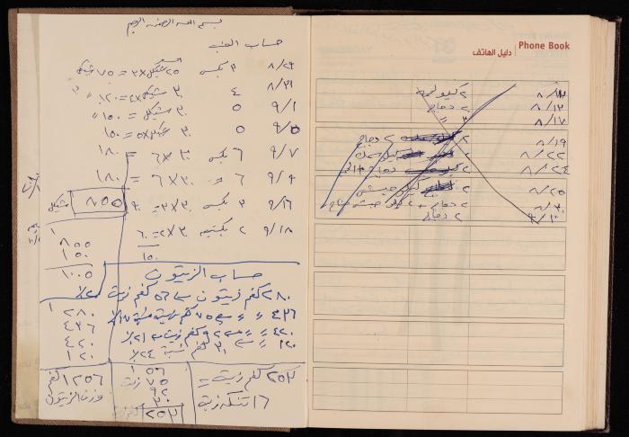 The Diary of Fadeyyeh Darabe, Dura- Hebron, 2010
